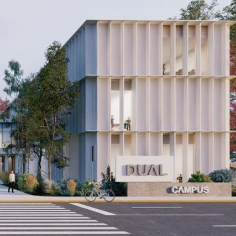 Învățământ superior, dual, altele